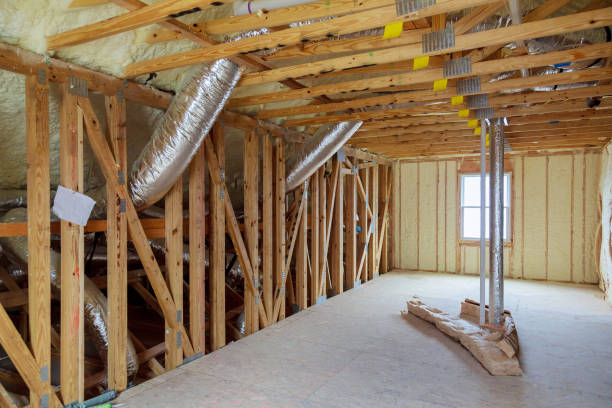 Insulation Repair Services in Fruit Cove, FL