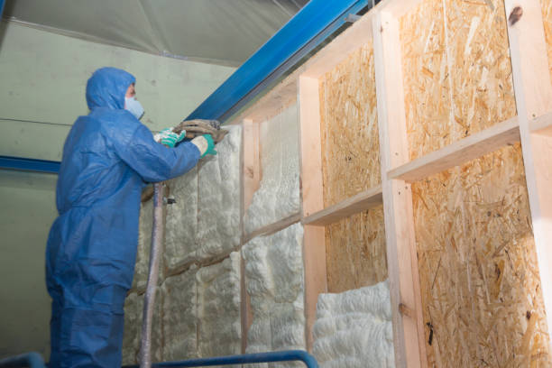 Trusted Fruit Cove, FL Insulation Contractor Experts